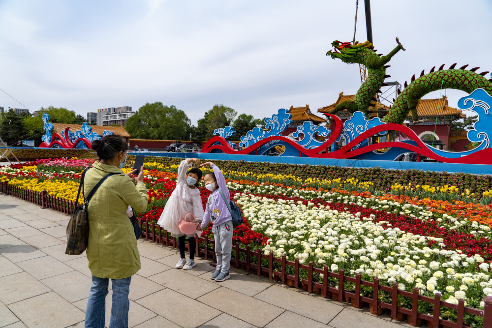 沈阳北陵公园鲜花盛开迎接五一劳动节