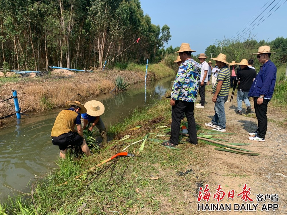 4月28日,在位于东方市大广坝灌区中干渠1支渠,东方八所镇组织水渠沿线