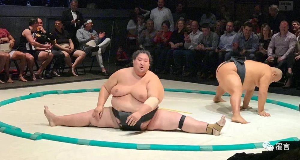 日本相扑退役后需要减肥吗如何过正常的生活