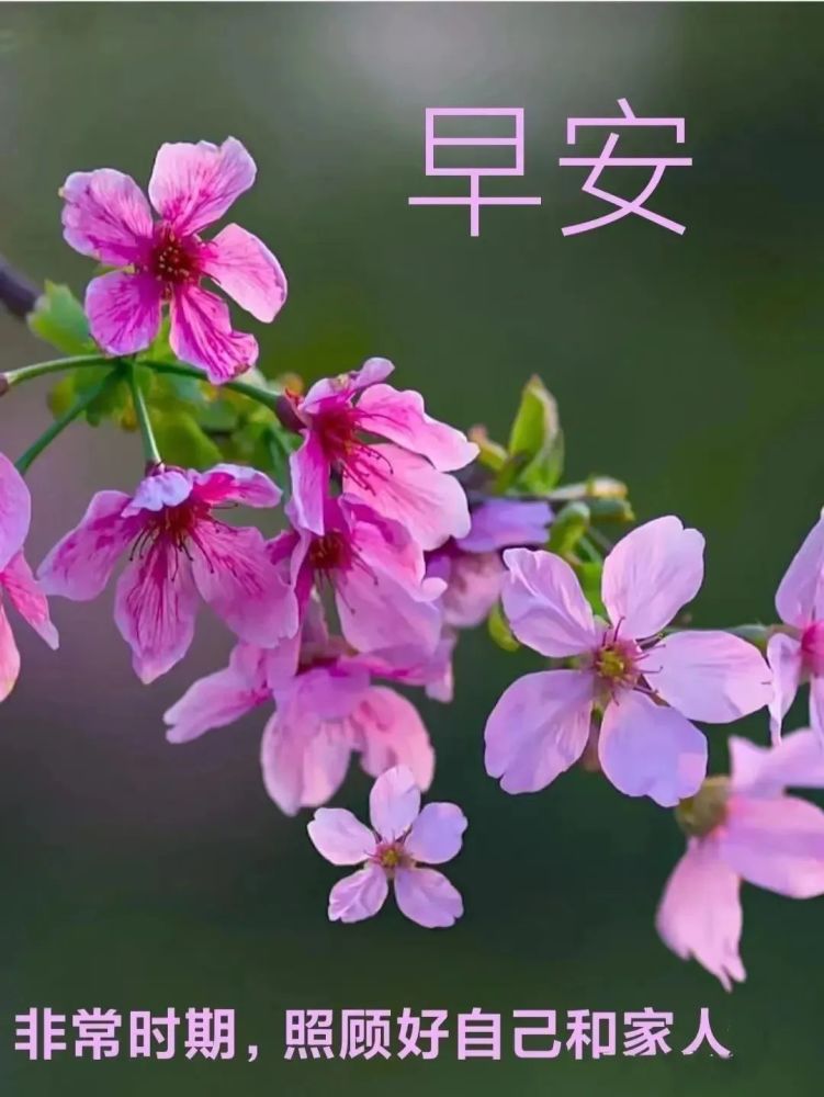 星期二新版早上好图片句子2021夏季周二图片清晨问好很赞的唯美早安