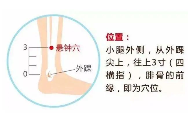 绝骨的准确位置图 腾讯网