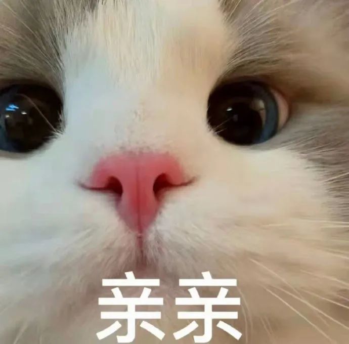 表情包宝可以给我亲一口吗