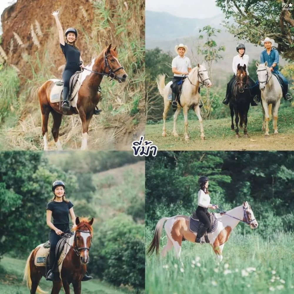 如果你从来没有骑过马,现场也会有人教你如何骑马,教好了,就会带你在
