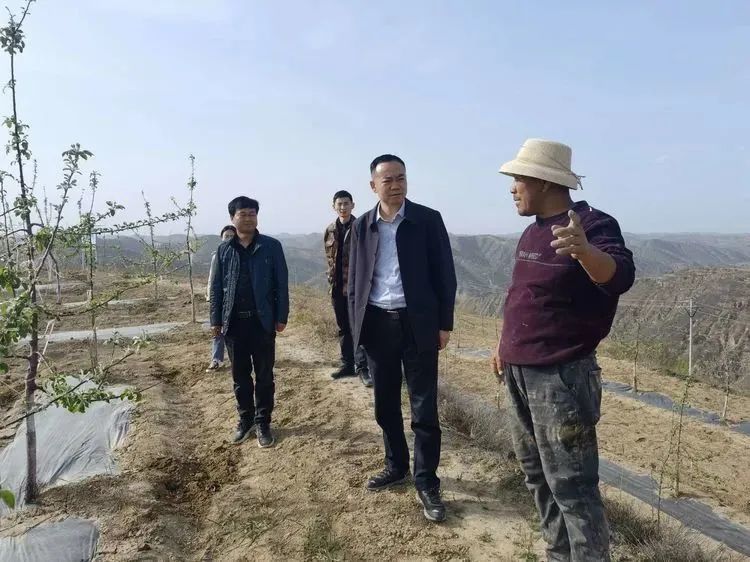 志丹县金丁镇n模式开创融合联动齐头并进工作新格局