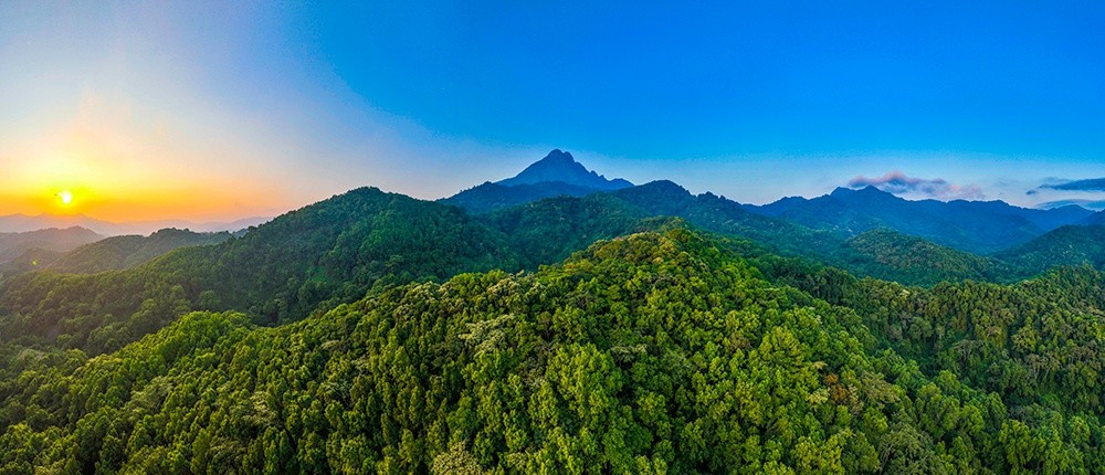 五指山地处海南岛中部生态核心区,独具特色的热带雨林景观深受游客