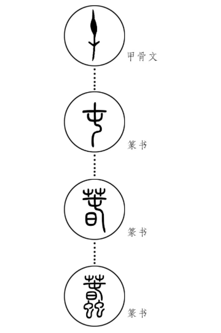 甲骨文发现百年,为何至今才破译一半