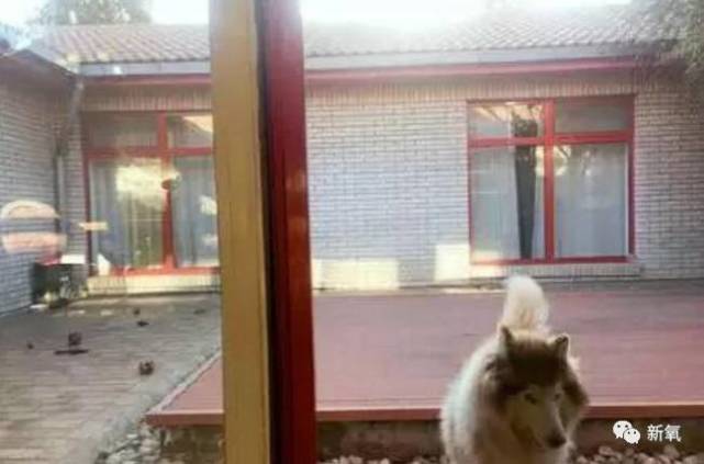 卓伟说她是贵圈最干净的女星，虽然她拍裸照改年龄也整形