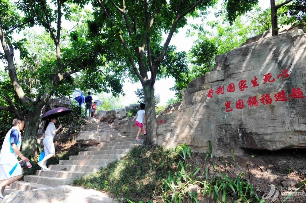 大美江津,就在家門口(圖8)
