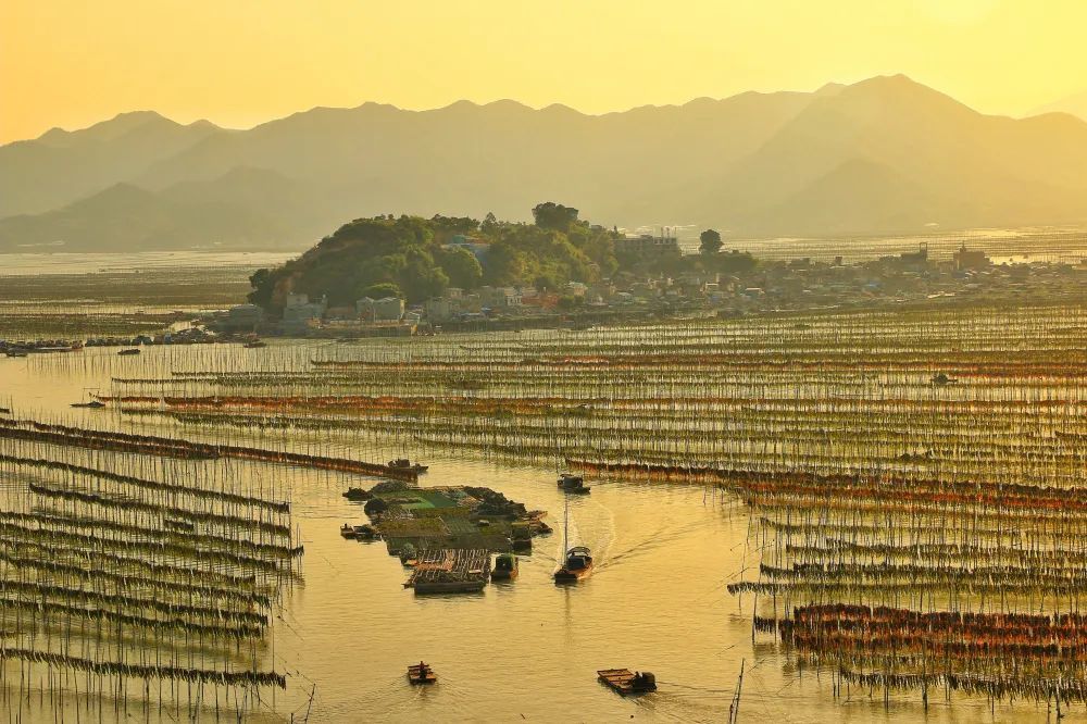 霞浦8大网红旅游地1处海上威尼斯1处馒头山1处s弯惊艳世界