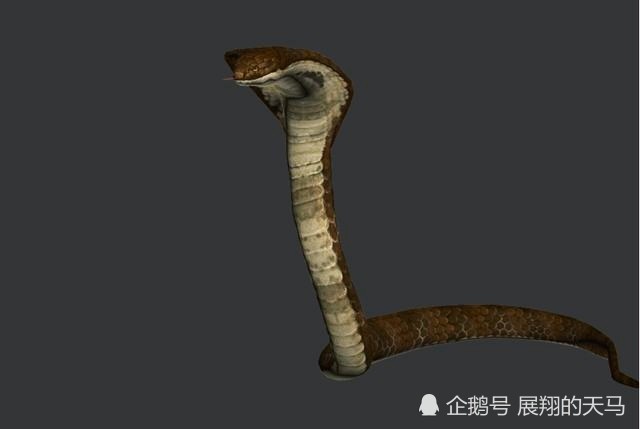 难道它的毒性不是很强吗?