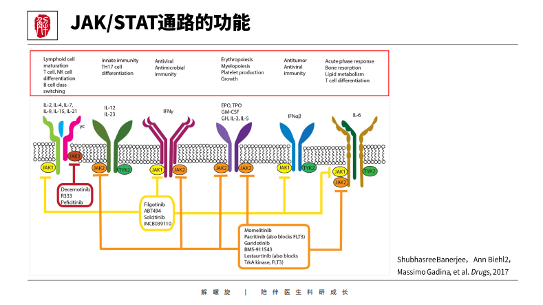 一图胜千言mapkpi3kaktwntnfκb等12个信号通路图解一目了然