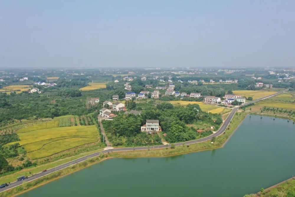 长春镇黄家湖村(黄家湖生态旅游度假区,琼湖街道小河咀村,金盆镇大