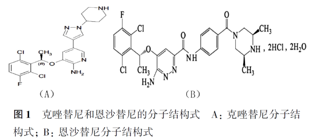 为恩沙替尼具有更好的血脑屏障穿透能力提供了结构基础