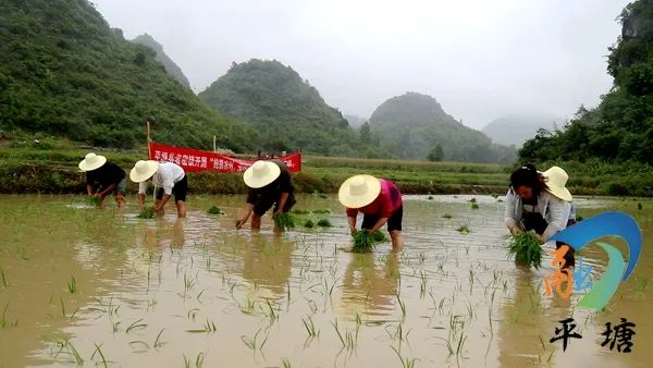 【各地傳真】黔南這地8人同庭受審!原來是因為……(圖5)