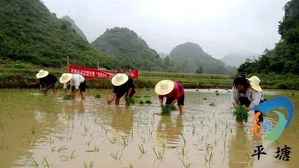 【各地传真】黔南这地8人同庭受审!原来是因为……(图5)