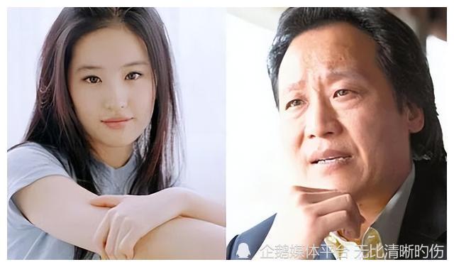 其中绯闻传播最大的就是刘亦菲和陈金飞之间的关系.