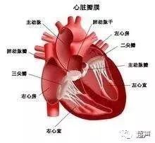 心脏超声测量的规范标准