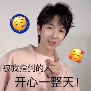 tnt时代少年团人均行走的表情包