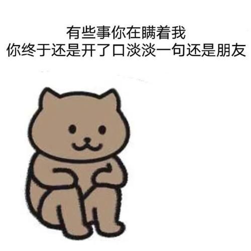 一猫人表情包1
