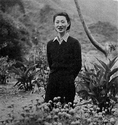 赵一荻年轻时究竟有多漂亮你只需要看半眼你就理解张学良了
