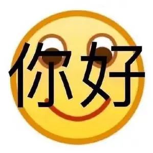 表情你好表情包