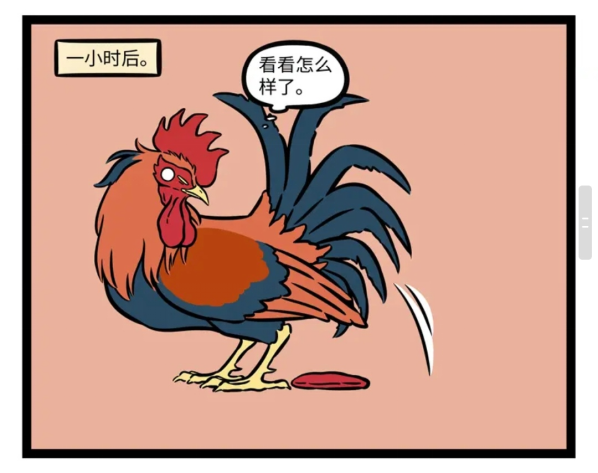 只见大公鸡一脸惊恐的表情,然后看着自己的坐垫,突然发现坐垫上的三颗