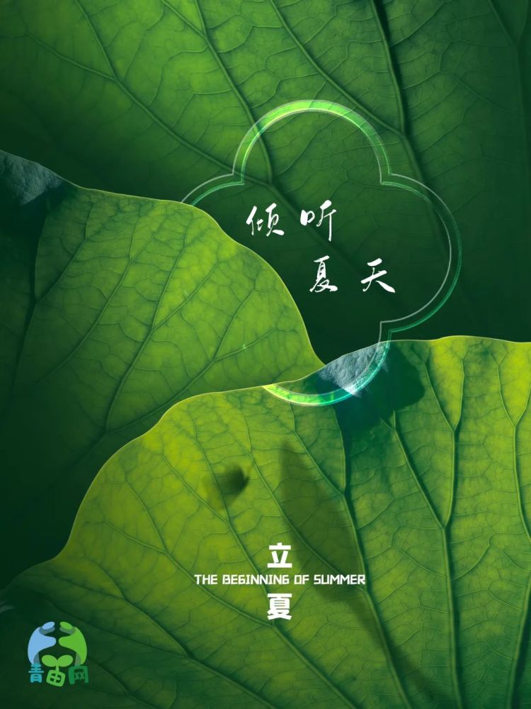 表示孟夏时节的正式开始.夏季的第一个节气,2022.5.5 立夏,明日立夏