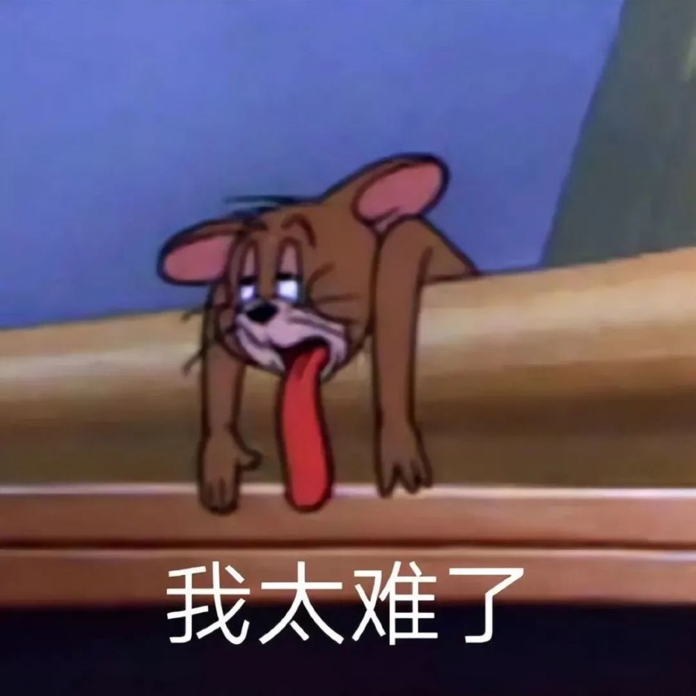 一组可爱绝绝子表情包