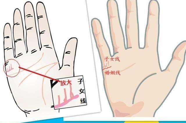 从手相看你的子女运配图