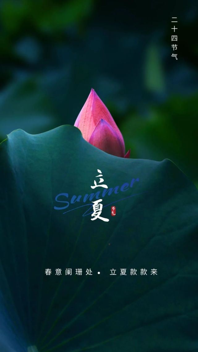 立夏图片配图简单带字,适合立夏发朋友圈的文案说说