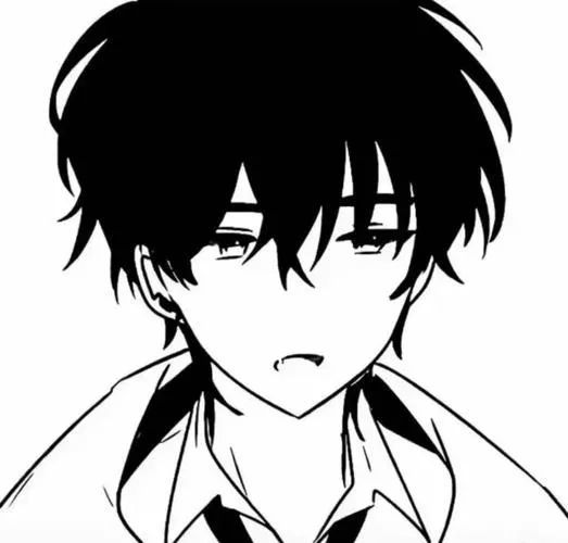黑白动漫男头