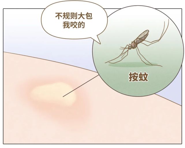 中不含麻醉成分,且吸血量较大,所以叮咬后常常会痛到想骂人……伊蚊