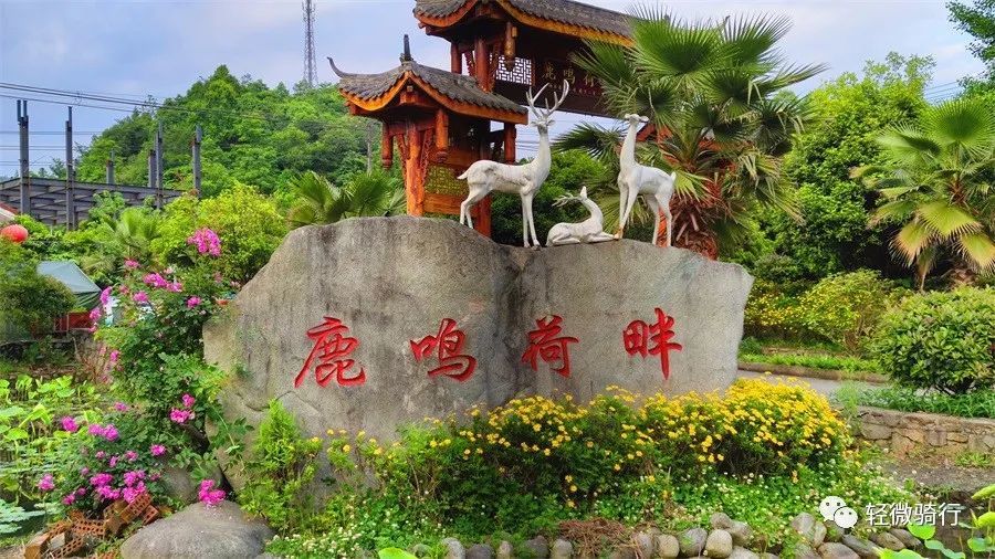 找预订的住宿一波三折,定位不准,商家电话一直通话中,在鹿鸣河畔转悠