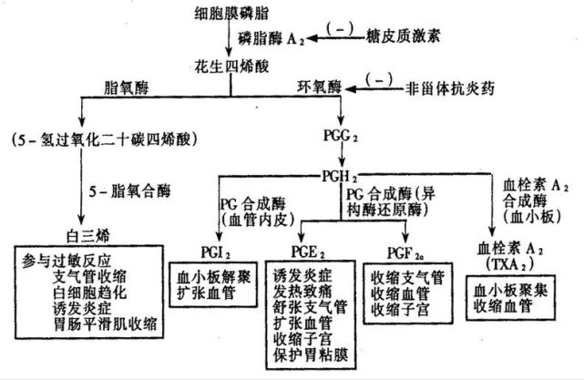 72非甾体抗炎药的抗炎机理非甾体抗炎药消炎止痛效果好,但副作用也