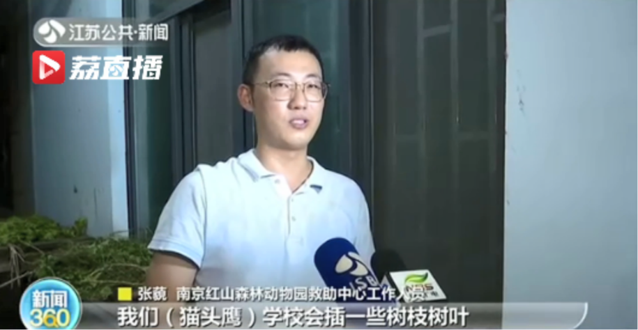 红山动物园园长沈志军,一直坚持自己的办园理念——红山的动物,有不被