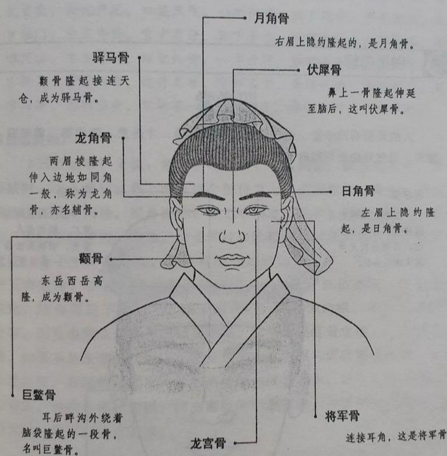 "头生九龙骨,早晚必显贵,啥意思?老祖宗的识人术还准不准?