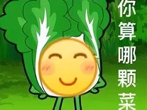 热梗百科小趴菜是什么梗