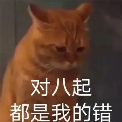 最新表情包合集对八起都是我的错