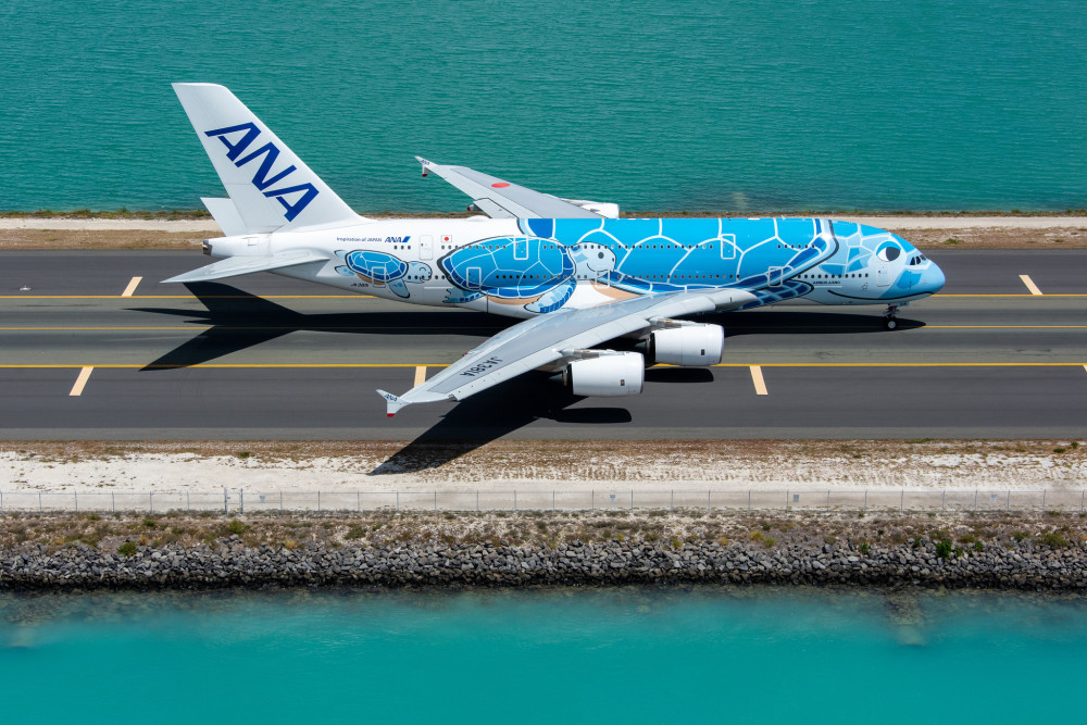 展翅飞翔的三色海龟全日空a380客机高清图集