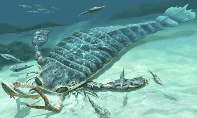 是有史以来体型最大的板足鲎虽然它的名字是"海蝎",但是科学家认为它