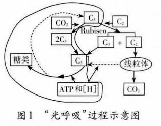 解题技巧情境题怎么做