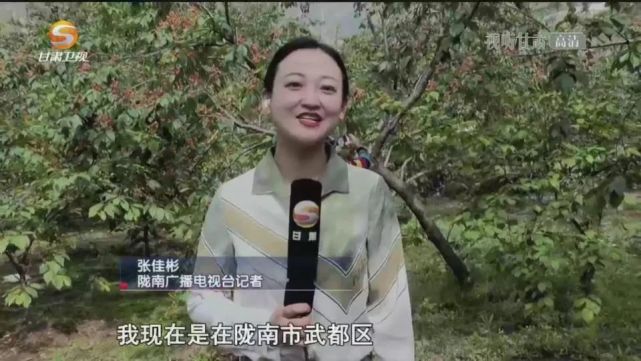 陇南广播电视台记者 张佳彬:我现在是在陇南市武都区城关镇石家庄社区