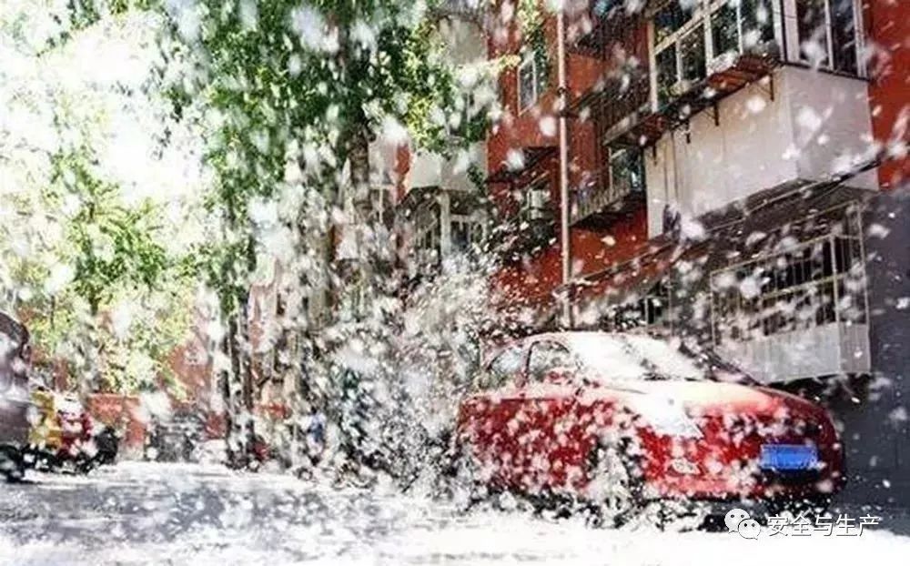 夏季飘雪杨绵柳絮的危害