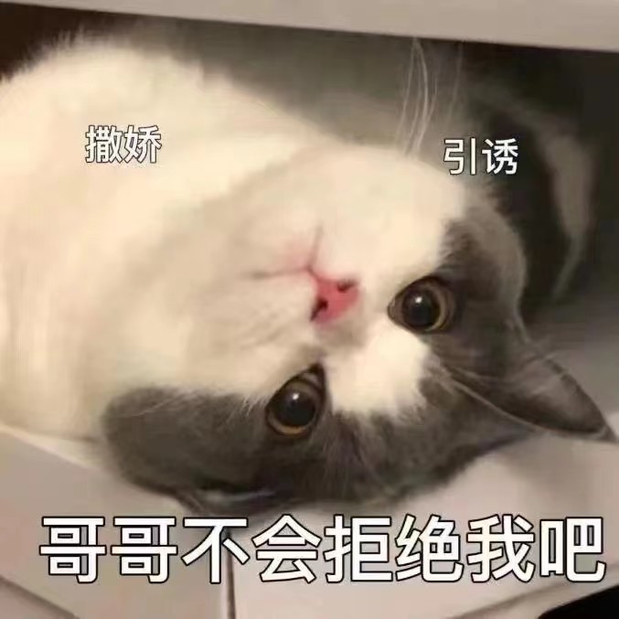 可爱猫猫表情包