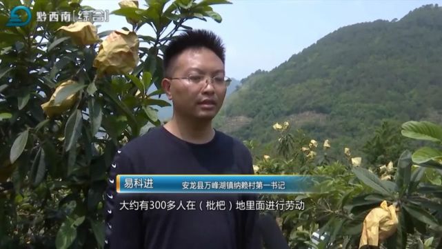 记者:安龙融媒 庞忠美(实习)韦华春编辑:郭广波 岑祥强 陈波 贝启兴