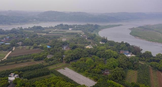 视觉重庆|江津区修复长江生态环境见成效|崔力|石蟆镇|江津区|重庆|中