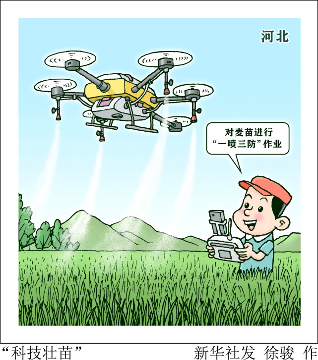 (图表·漫画【社会"科技壮苗"