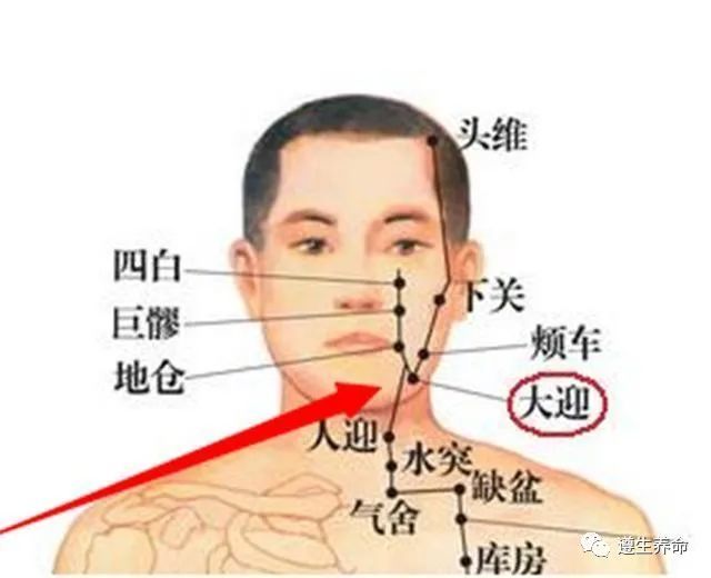 下关,上关,太阳等穴以及下颌体都覆盖在内,手掌内也有牙痛点,反射区