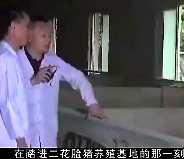 江苏农民饲养天价猪种本想一夜暴富却被没收它到底有何不明来历