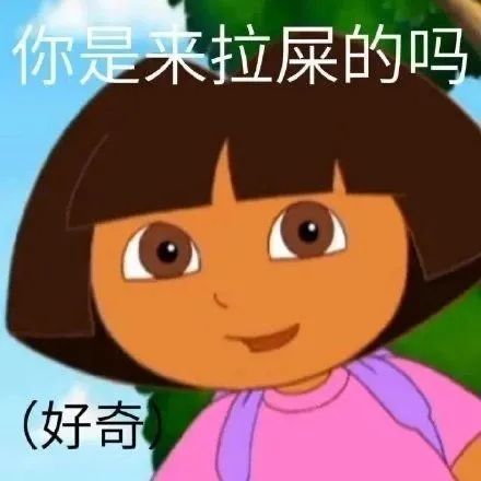 朵拉表情包